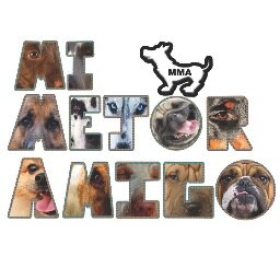 El único canal canino en youtube que se ocupa en verdad de darte información para nuestros mejores amigos🐩🐕Ven suscribete!!! VIDEO CADA VIERNES!!!