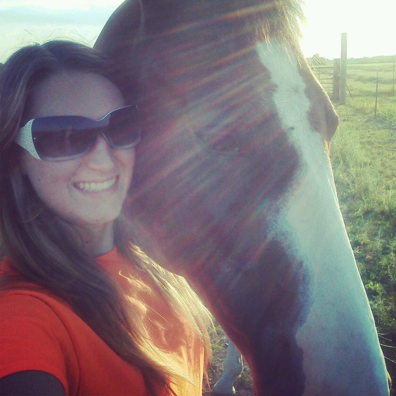 obsession=horses, career=pfrimmer massage therapist, favorite=horses, purple, strawberries, cowboy boots.