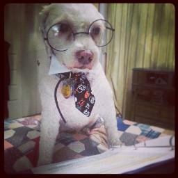 ReadmoreBooksTX's profile picture. I love to read, and I'd like to share stories with you! Take the pledge and read with me!