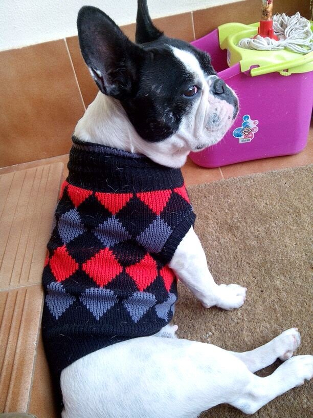 Un_saico's profile picture. 