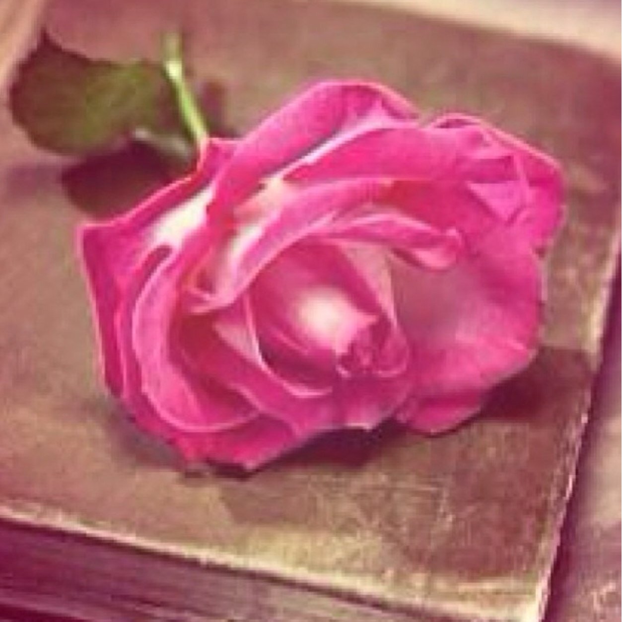لست سۆى رۆح ستقبض ﻓي ﺂيـۃ لحظهہَ ﺂسآلڳ يآ رﺑي حسن ﺂلخآتمهہَ♥