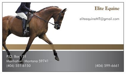 Elite Equine provides exceptional veterinary care for your horse. We focus on pain management, improving healing and performance enhancement.