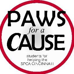 Paws for a Cause is a club at the University of Cincinnati. We believe strongly in supporting the SPCA Cincinnati via fundraising & volunteer work.