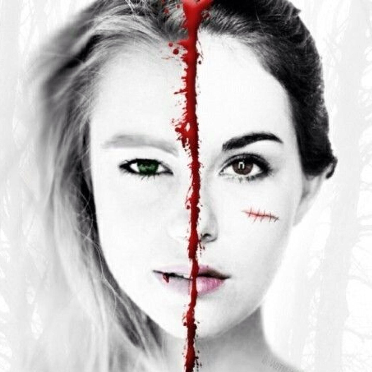VA | divergent | the host | first VA fan account in new zealand