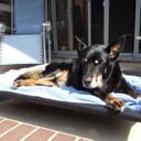 Roberta Smith - @fattyzena - Twitter