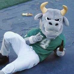 Rocky the Bull: #1 mascot in the Nation... USF Football: You're gonna want to be drunk for this