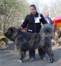 Самый короткий день в году – 1 января. Не успел проснуться, а уже смеркается.