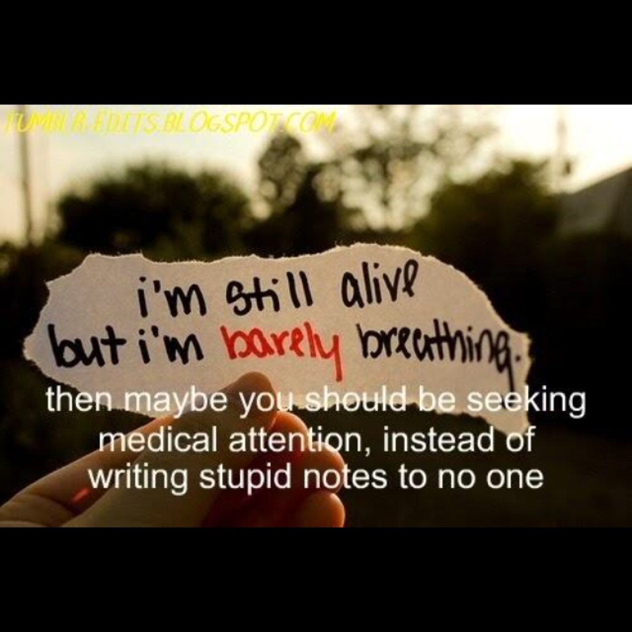 qkinn's profile picture. This will not describe shit