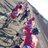 StanfordCycling's profile image
