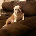 Steve Doody - @KingDoody44 - Twitter