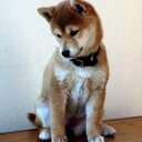 Caitlin Chee - @CaitlinChee1 - Twitter