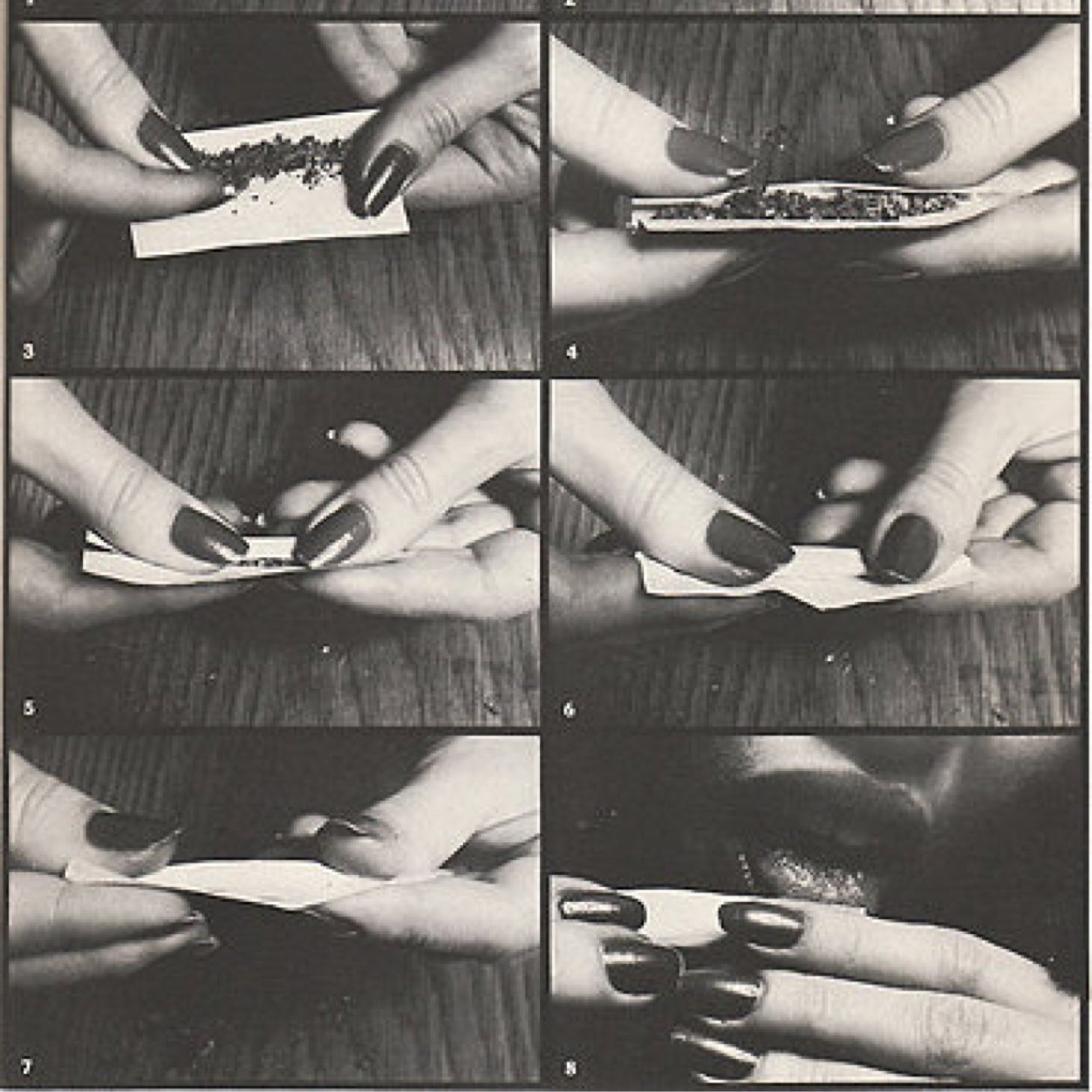 BitchMobFeds's profile picture. 