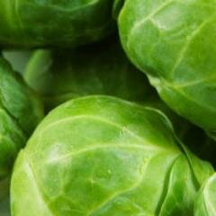 Mr_Hindustan's profile picture. 