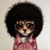 Dr. Johnny Fever (@johnnyfeverdj) Twitter profile photo