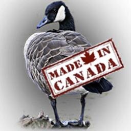 Lespevetistes's profile picture. A web series about French people who come to Vancouver with a work holiday visa. Une série web sur les Français en PVT à Vancouver.