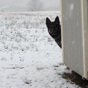 James Arrington - @jba2869 - Twitter