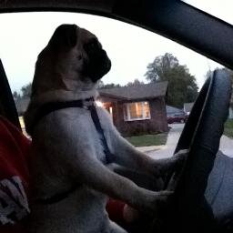 retrotech88's profile picture. 