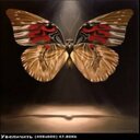 Vijay Devaraj - @agoppidakndiwal - Twitter