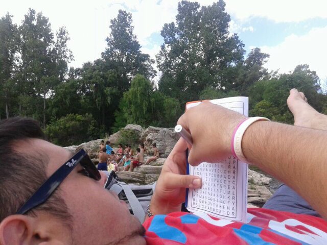 Maxi_30436's profile picture. Lokos Pro EPC.  CTO Ecogas