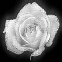 Cari-Rose Elizabeth - @LMSR_Cari - Twitter