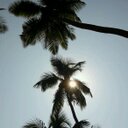 Tamara Abreu - @tammiedegraca - Twitter