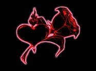 meccataylor's profile picture. Born up North raised in the South Now I'm stuck in the Middle 757 Bound!