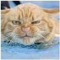 andre martin (@andreemartin82) 's Twitter Profile