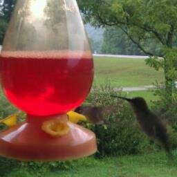 catihat's profile picture. live, love, laugh and enjoy life