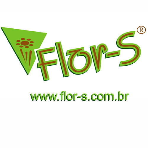 Compre Flores e Presentes pela Internet, entregamos em todo Brasil!