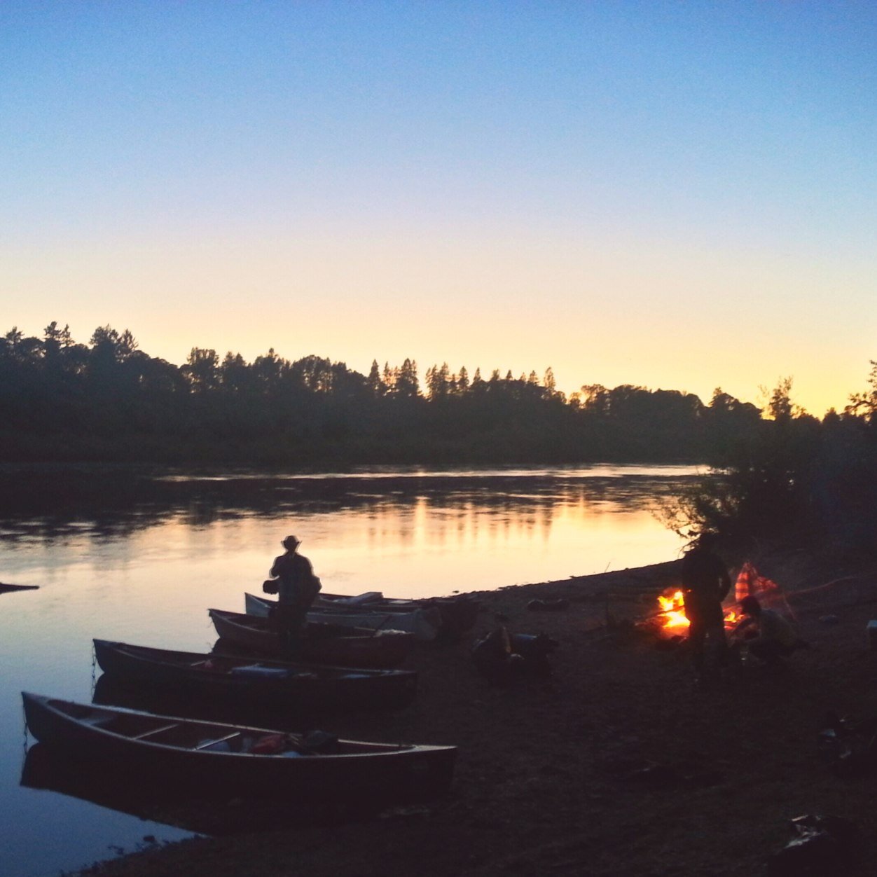 theshrig's profile picture. 