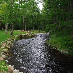 Our lil' piece of paradise. Also home to Blue Jays, Frogs, Great Blue Heron, Mink, Owls, Rabbits, Robins, Rainbow Trout, Turtles, Woodchucks...