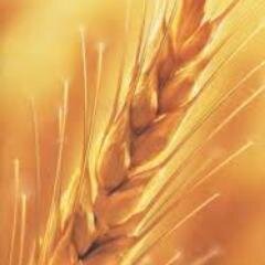 marhababakery's profile picture. 