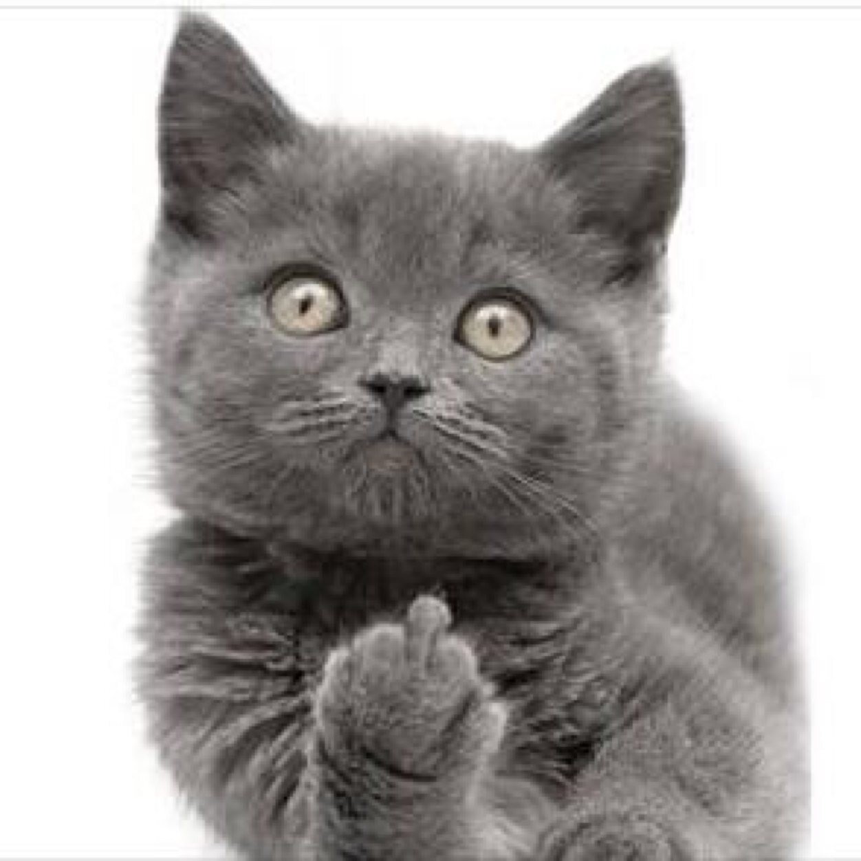 deadgirl31's profile picture. When I die 
Bury me deep
Lay two speakers at my feet 
Wrap some headphones 
Around my head 
And rock and roll me 
When I'm dead
      Fuck You