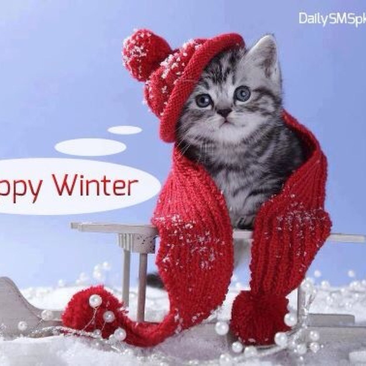 leena00G7's profile picture. 