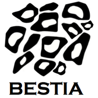 Bestia Fight Gear(@BestiaGear) 's Twitter Profileg