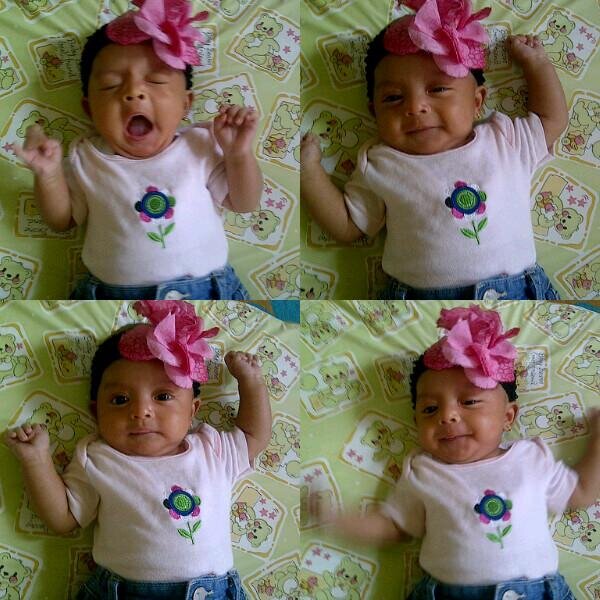 Ahli Madya • Istri • Calon Ibu • Pencari Surga