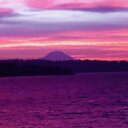 suzanne tipton - @tipton_suzanne - Twitter