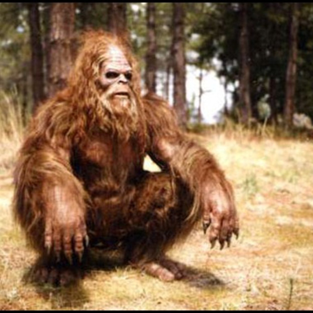 Naturally awesome. The Sexquatch.