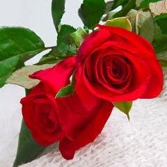 SVKRISHNAREDDY5's profile picture. 