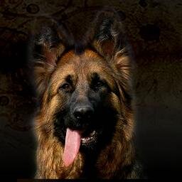 I love pets wants to finish school as soon as possible and in August it Bring once and for all as much as possible about the school just anywhere I love justin