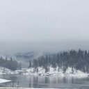 Peter Halcrow - @HalcrowPeter - Twitter