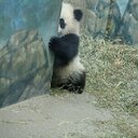 Yuya Ishida - @Yuuu_711 - Twitter