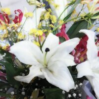 RK (@koga_r) 's Twitter Profile Photo