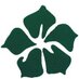 Prenplants (@prenplants) Twitter profile photo Prenplants (@prenplants) Twitter profile photo