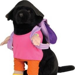 Me gustan los buldogs, amo a los animales mas que a las personas, me imagino una vida junto a eva, y no puedo estar mejor.  (actualización: ahora llego clarilu)