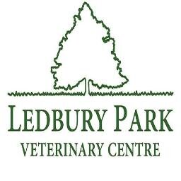 RCVS accredited friendly companion animal practice based in Ledbury, Herefordshire