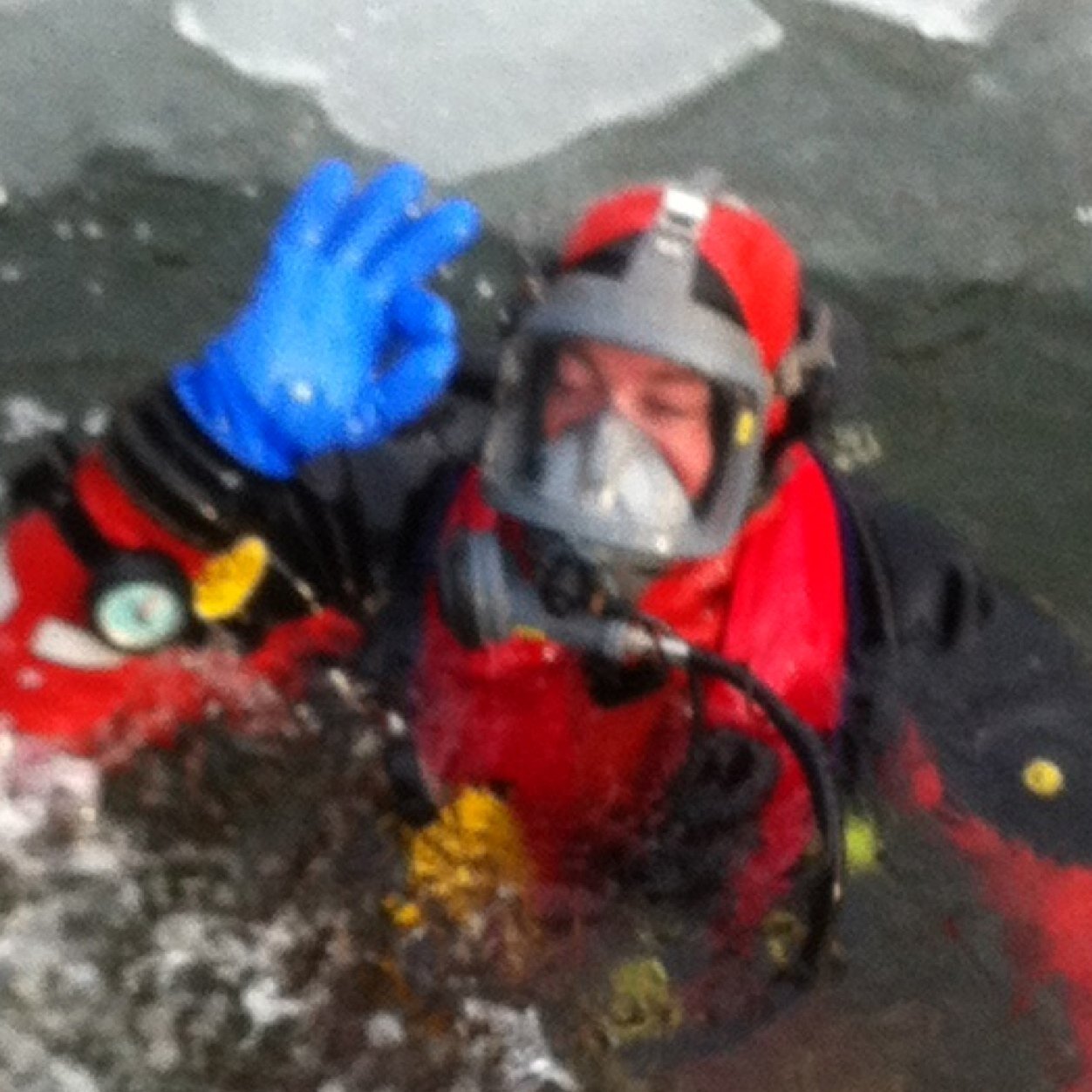 RichBijl's profile picture. 