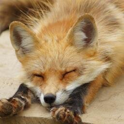 takahiro47_sfc's profile picture. 1991生まれ/東京学芸大学附属大泉小&中⇒東京学芸大附高(54F)⇒慶SFC 環境4年/11組/元七夕祭実行委(広報とか)/大木研/元徳田研CPSF/元増井研。SFCアカウント。きっとSFCネタばかりなのでSFC生以外はもう一つの方をフォローすべし。べし!