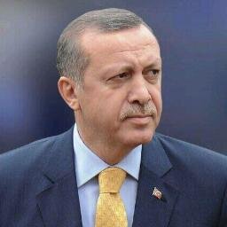 akneferr06's profile picture. 