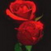 Agraciana Dominici (@xoxuzizejyfy) 's Twitter Profile